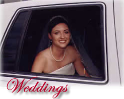 Wedding Transportation Gunnison Crested Butte Colorado